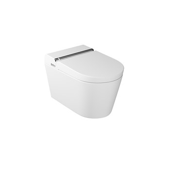 Smart toilet