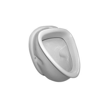 Wall mounted urinal