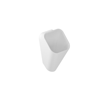 Wall mounted urinal